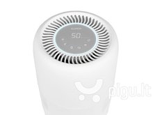 Oasis 303