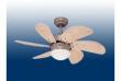 Westinghouse Turbo Swirl