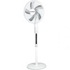 Hausberg HB-5850AB