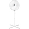 ECG FS 40a