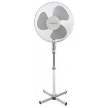ESPERANZA EHF001WE