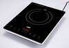 Elit IC-21