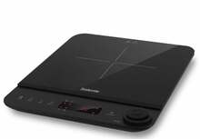 Salente InductPro1