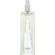 Scherrer Immense Homme EDT 100 ml