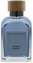 Meeste parfüüm Adolfo Dominguez Ambar Negro EDP 200 ml