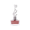 Parfüüm naistele Aurora Scents Deciduous Spring EDP 100 ml