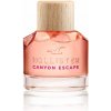 Hollister Canyon Escape EDP 50 ml
