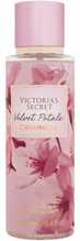 Kehapihusti naistele Victorias Secret Velvet Petals Cashmere 250 ml