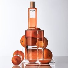 Loewe Solo Loewe Ella EDP 100 ml