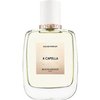 Roos & Roos A Capella EDP 50 ml