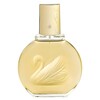 Parfüüm naistele Vanderbilt Vanderbilt EDT 100 ml