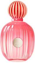 Antonio Banderas The Icon Splendid EDP 100 ml