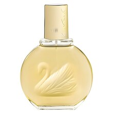 Parfüüm naistele Vanderbilt Vanderbilt EDT 100 ml