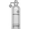 Montale Fantastic Basilic EDP 100 ml