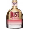 Roberto Cavalli Just Roberto Cavalli EDT 75 ml