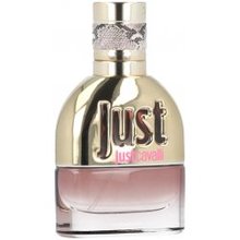 Roberto Cavalli Just Cavalli 2013 EDT 30 ml