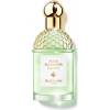 Guerlain Aqua Allegoria Rosa Verde EDT 75 ml
