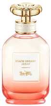 Coach Dreams Sunset EDP 60 ml