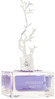 Parfüüm naistele Aurora Deciduous Winter EDP 100 ml