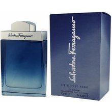 Salvatore Ferragamo Subtil EDT 100 ml
