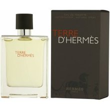Hermès Terre D'Hermès EDT 100 ml