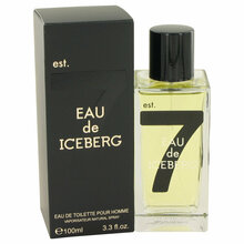 Iceberg Eau de Iceberg pour Homme EDT 100 ml
