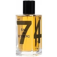 Iceberg Eau de Iceberg Amber EDT 100 ml