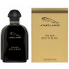 Jaguar Gold In Black EDT 100 ml