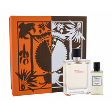 Hermes Terre DHermes EDT 100 ml