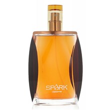 Liz Claiborne Spark for Men EDC 100 ml
