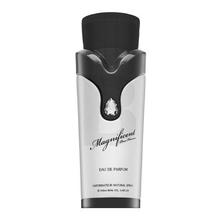 Armaf Magnificent Pour Homme EDP 100 ml