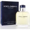 Dolce & Gabbana Pour Homme EDT 125 ml