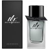 Burberry Mr. BURBERRY EDT 100 ml