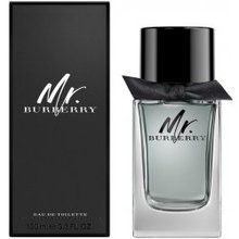 Burberry Mr. BURBERRY EDT 100 ml