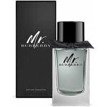 Burberry Mr. Burberry EDT 150 ml
