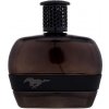 Ford Mustang Mustang Black EDT 100 ml