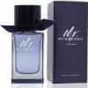 Burberry Mr. Burberry Indigo EDT 100 ml