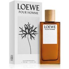 Loewe Pour Homme EDT 100 ml