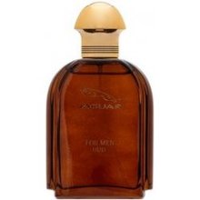 Jaguar Oud EDP 100 ml