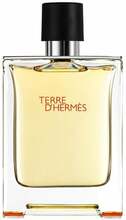 HERMES Terre d’Hermes EDT 100 ml