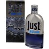 Roberto Cavalli Just Cavalli 2013 EDT 90 ml