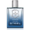 Victorinox Swiss Army Steel EDT 100 ml