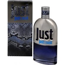 Roberto Cavalli Just Cavalli 2013 EDT 90 ml