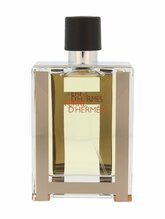 Hermes Terre D'Hermes Men EDT 100 ml