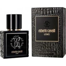 Roberto Cavalli Uomo EDT 100 ml