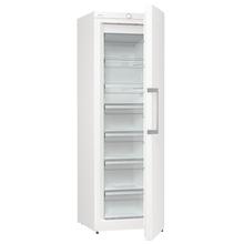 Gorenje FN619EEW5