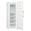 Gorenje FN619FEW5