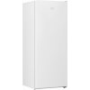 Beko RFSA210K40WN