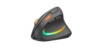Speedlink Piavo Pro