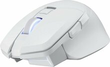 Hiir PowerColor Alphyn AM10, 2U1-G000041001, valge